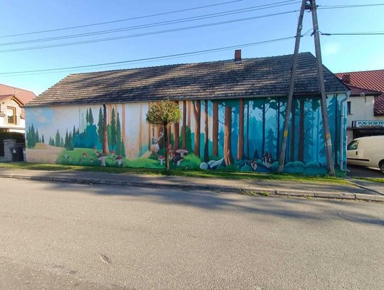 Piękny mural zdobi Barut. To spełnienie marzeń społeczników