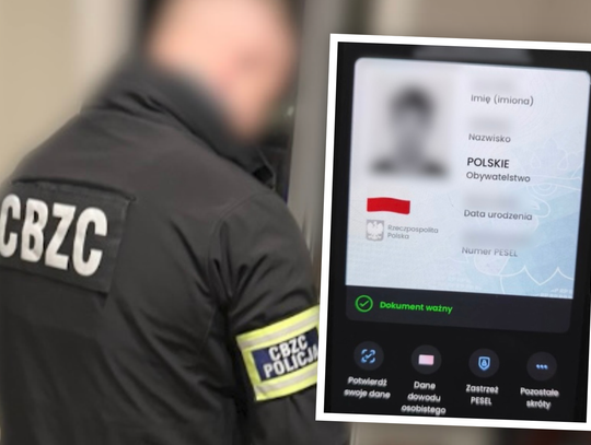 Afera z podrobioną rządową aplikacją. Wśród sprawców nastolatkowie z powiatu