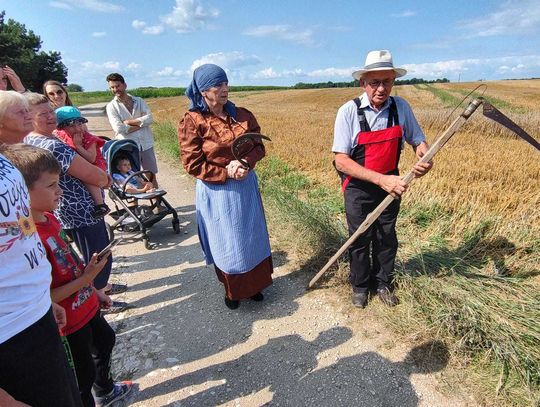 Powrót do przeszłości. W Suchej pokazano, jak wyglądały kiedyś żniwa