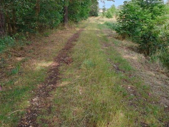 Ul. Sosnowa w Staniszczach Małych idzie do przebudowy