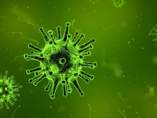 Chwile grozy w kadrze skoczków