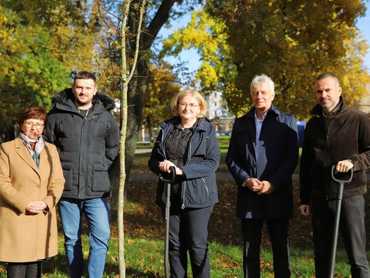 50 nowych drzewek w strzeleckim parku. Posadzono je dzięki cyklicznej akcji
