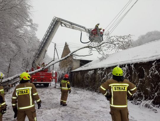 Drzewo upadło na budynek w Leśnicy. Zerwało też linię energetyczną