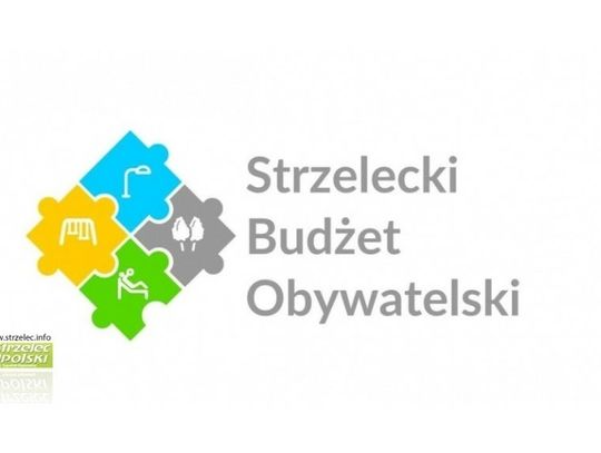 Dziewkowice i Rozmierka zdominowały głosowanie. Znamy projekty, które wygrały w SBO 2022 