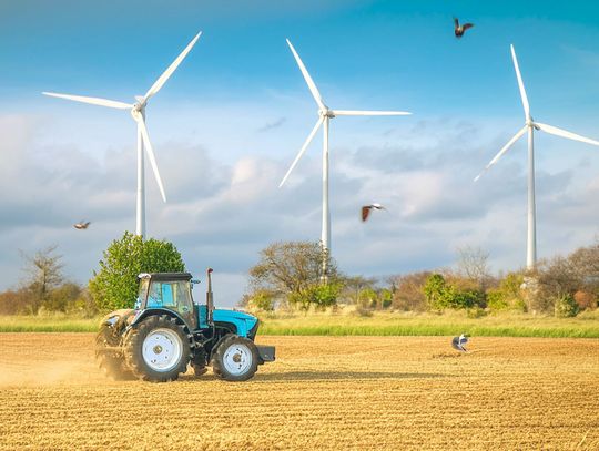 Elektrownie wiatrowe. Plusy przysłaniają minusy