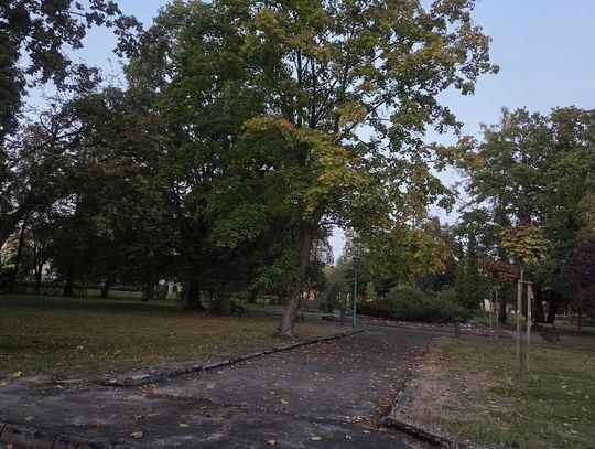 Park w Zawadzkiem przejdzie rewitalizację. Gmina otrzymała prawie 5 mln dotacji