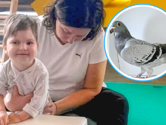 Aukcja gołębi dla Walecznego Pawełka w Kielczy