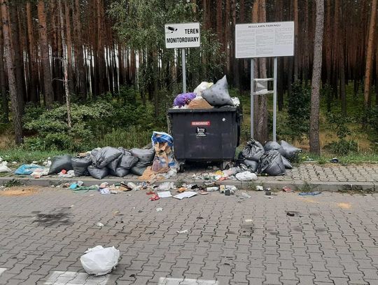 Fotopułapki nie wystarczają. Czy kamery przegonią śmieciarzy?