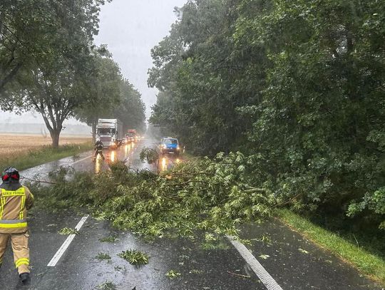 Front burzowy nad powiatem strzeleckim. Głównie połamane drzewa