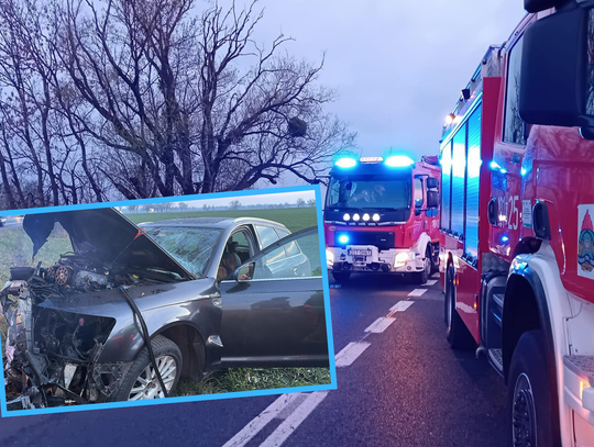 Groźne zdarzenie na DK88. Osobówka zjechała z drogi i uderzyła w drzewo