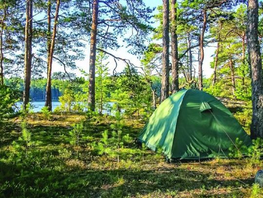 Hotel zamknięty? Zanocuj w lesie!
