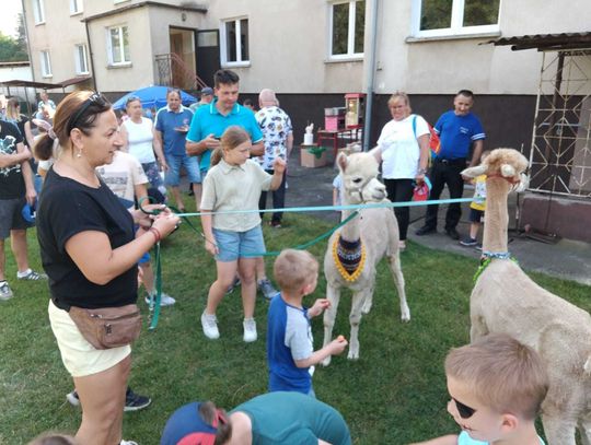 Integracja w rodzinnym gronie. Atrakcji nie brakowało