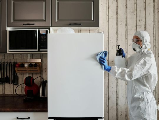 Jak skutecznie pozbyć się pluskiew? Specjaliści z branży DDD udzielają porad