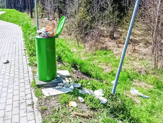 Jeden kosz i wielki parking