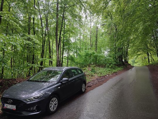 Kaizen Rent - renomowana wypożyczalnia samochodów w Twojej okolicy