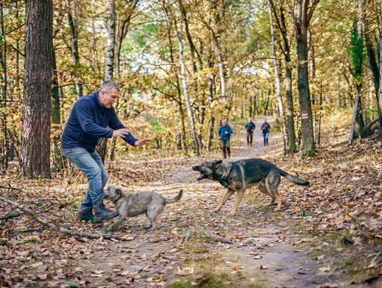Kiedy pies atakuje człowieka, winny jest właściciel