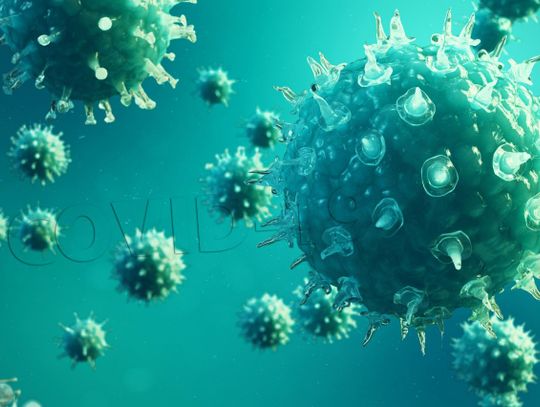 Koronawirus. 10 nowych przypadków
