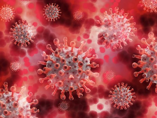 Koronawirus. Powiat strzelecki w regionalnej czołówce zakażeń!