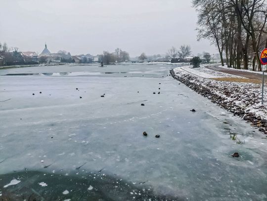 Kto dewastuje jemielnicki staw?