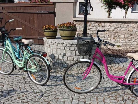 Damski lub męski, różowy albo szary? Wypożyczalnia rowerów w Jemielnicy