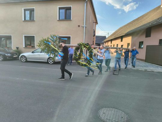 Na terenie gminy Jemielnica stanęły drzewka majowe