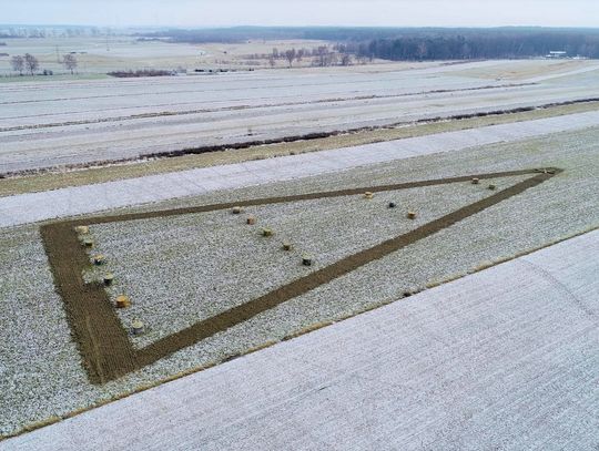 Największa choinka jest w Żędowicach!