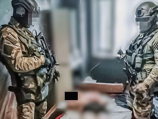 Narkotyki w powiecie strzeleckim! Gang rozbity