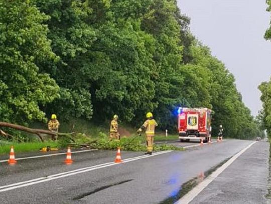 Nawałnica w powiecie strzeleckim. Drzewo spadło na jadący samochód