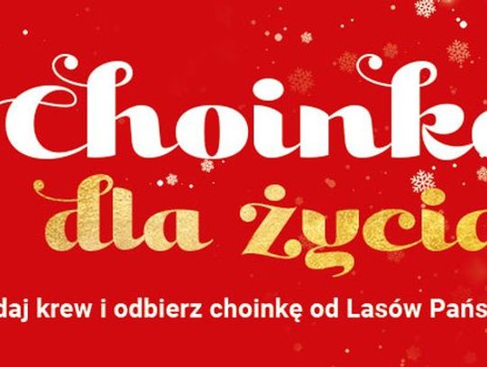 Oddaj krew, dostaniesz choinkę. Ogólnopolska akcja Lasów Państwowych również w Strzelcach 