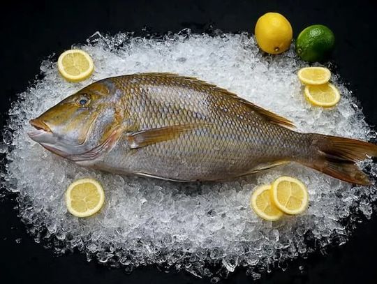 Opakowania dla ryb: nowoczesne rozwiązania dla zachowania świeżości