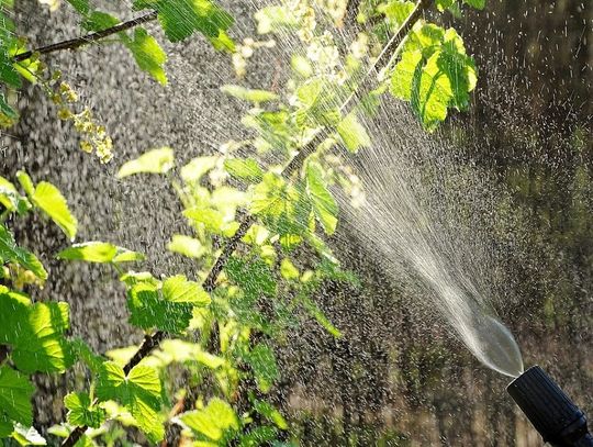 Opryski w gminie Strzelce Opolskie. Mieszkańcy protestują