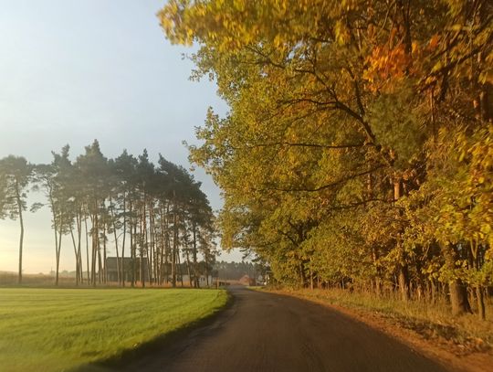 Ostrzeżenie o silnym wietrze dla powiatu strzeleckiego 