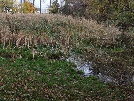 Co z parkiem w Kalinowicach? Miała być odnowa, a nie dzieje się nic