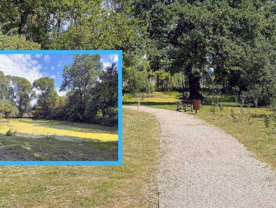 Park w Kalinowicach po rewitalizacji. Prezentuje się o wiele lepiej