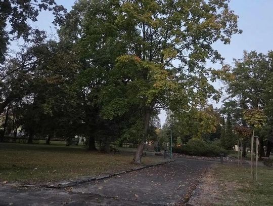 Park w Zawadzkiem przejdzie metamorfozę. Będzie fontanna i pomnik jelenia