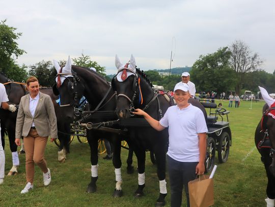 Piękne konie śląskie zaprezentowały się podczas tradycyjnego przeglądu w Porębie