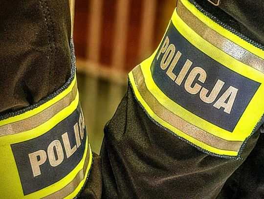 Pies spadł z czwartego piętra w Strzelcach Opolskich czy został wyrzucony?