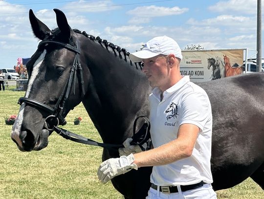 Najpiękniejsze konie śląskie zjechały do Poręby. Za nami 28. czempionat