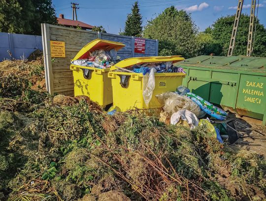 Płacą grosze, śmiecą za setki