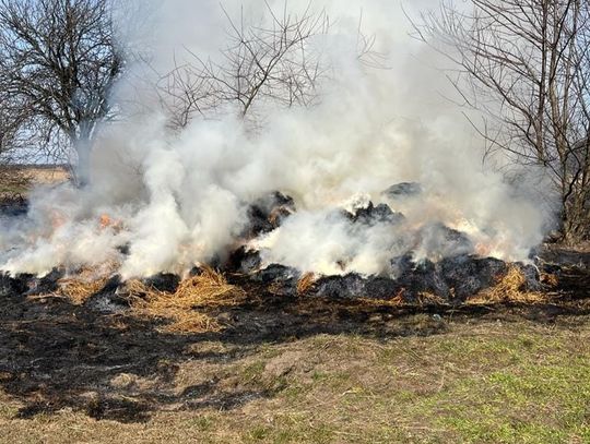 Płoną trawy w powiecie strzeleckim. Strażacy mieli już sporo wyjazdów