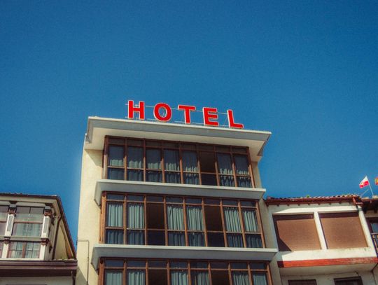 Pluskwy w hotelu i apartamencie na wynajem – jak skutecznie rozwiązać problem bez utraty zaufania gości?