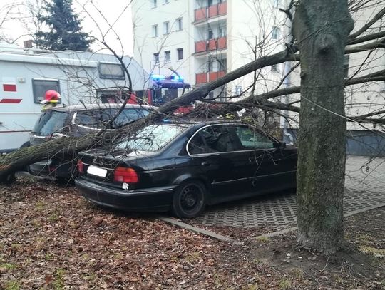 Powalone drzewa, zerwane dachy. Nasi strażacy wyjeżdżali ponad 60 razy! Zdjęcia