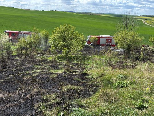 Pożar na Dolińskiej w Strzelcach Opolskich. Trzy zastępy w akcji