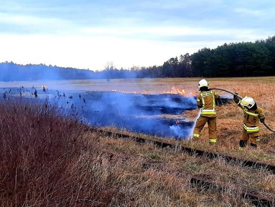 Pożar w Kadłubie. Spłonęło 1,5 ha nieużytków rolnych