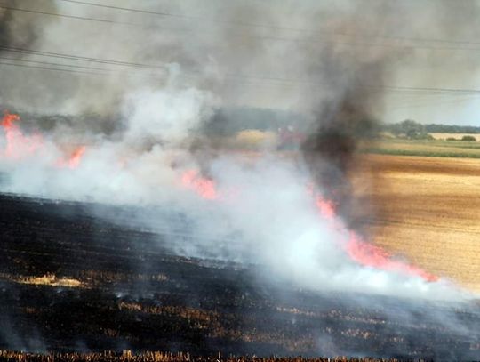 Pożary ściernisk w gminie Ujazd. Rolnik pomógł w jednej z akcji gaśniczych