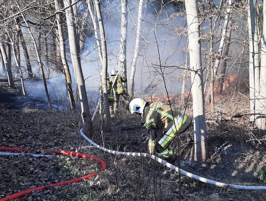 Pożary traw w Kadłubie i Osieku. Powodem brak odpowiedzialności?