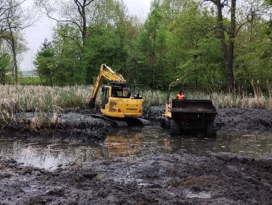 Przebudowa w parku w Kalinowicach za pół miliona złotych