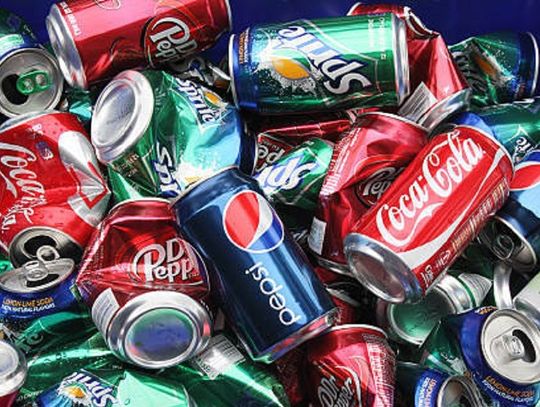 "Puszka dla Puszka". Dołącz do akcji i zrób coś dobrego dla zwierząt