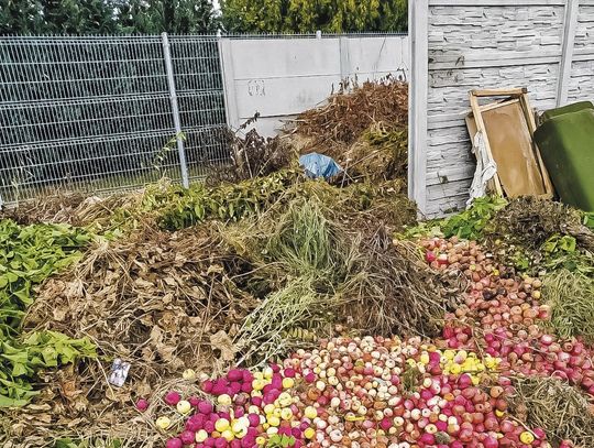 Problem na ogródkach w Strzelcach Opolskich. Zamieszanie wokół oddawania odpadów
