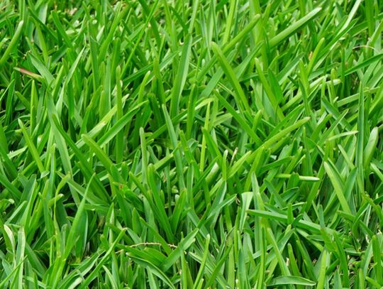 PZPN radzi jak trenować